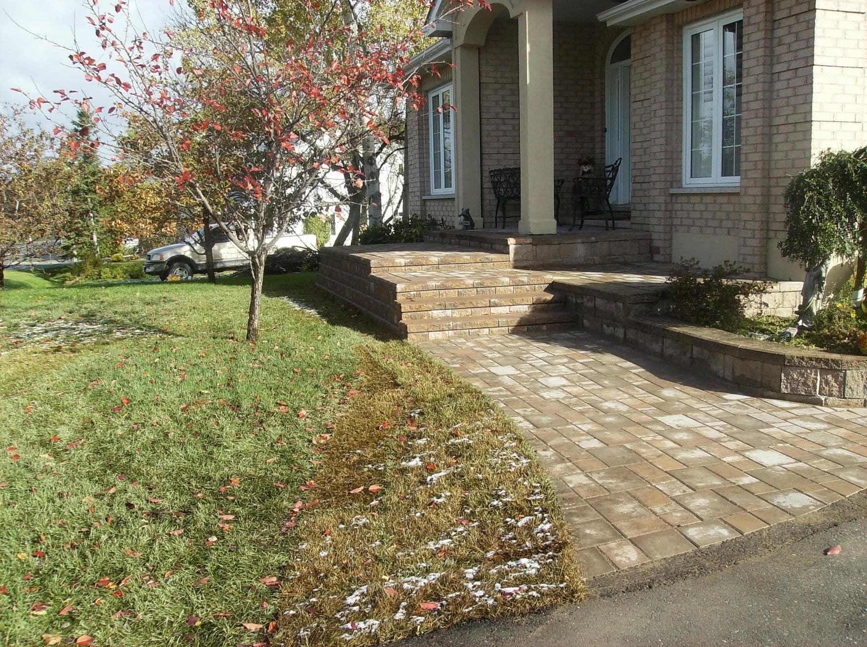 Mature landscape with manicured shrubs and topiary
